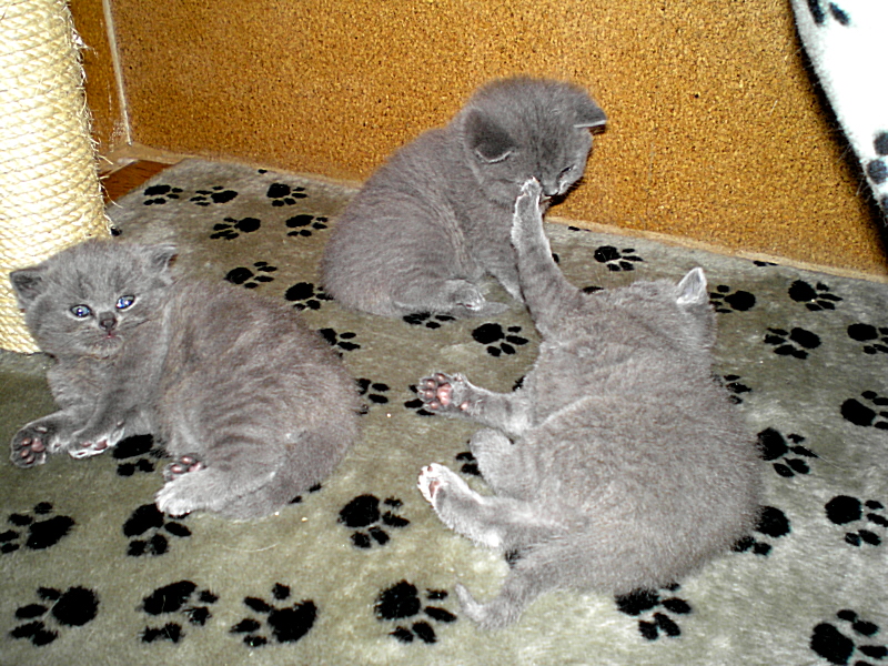P9160007.JPG
