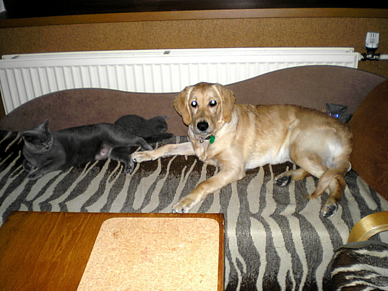 P9300010.JPG