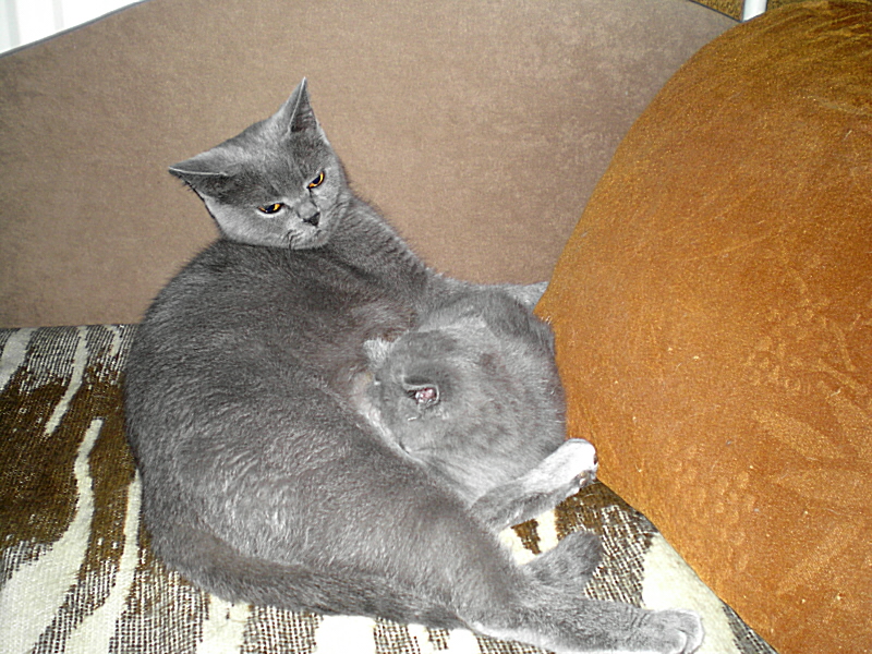 P9300012.JPG
