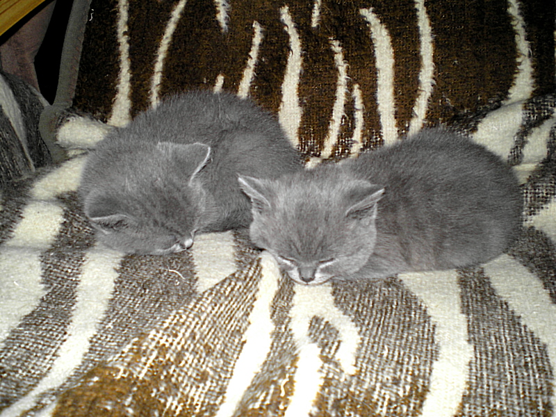 P9300014.JPG