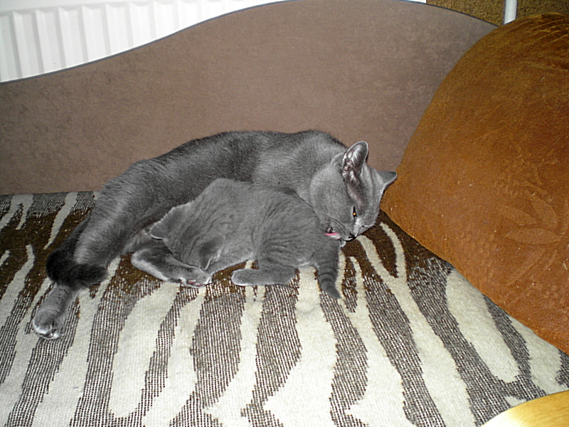 P9300016.JPG