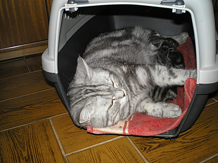 P4090003.JPG