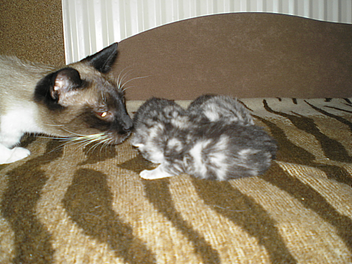 P4150007.JPG