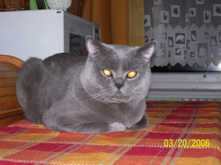 kristián.jpg