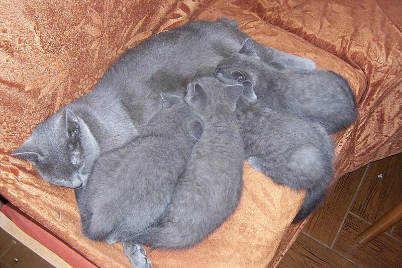prvni_kotata (2).JPG