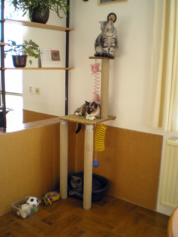 splhadlo1110010.JPG