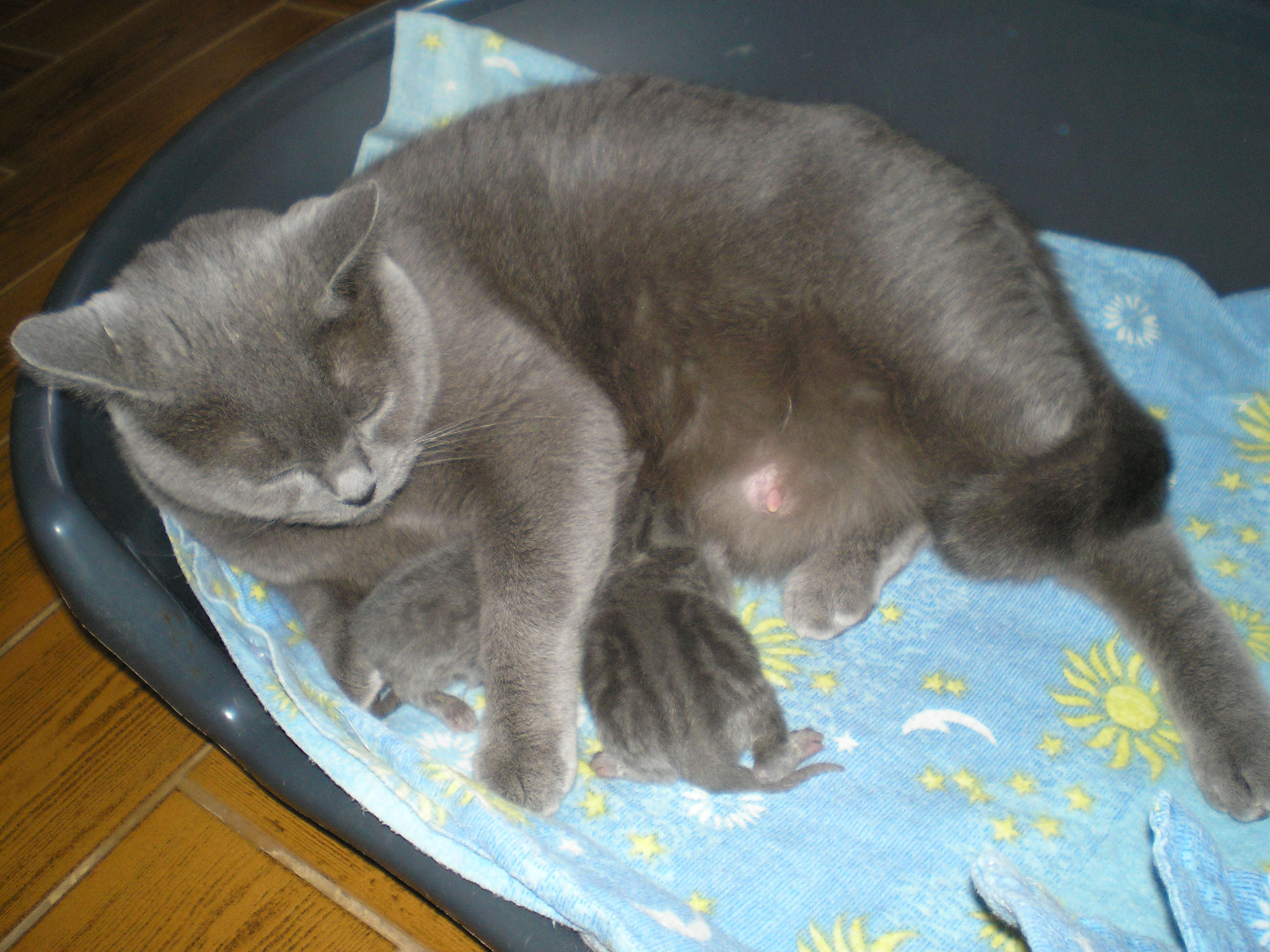 P2190007 (2).JPG
