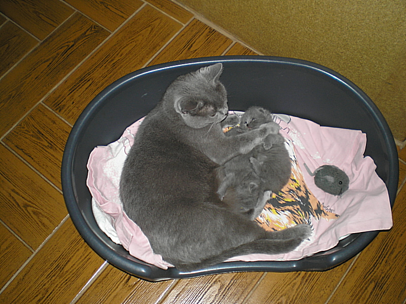 P3020009.JPG