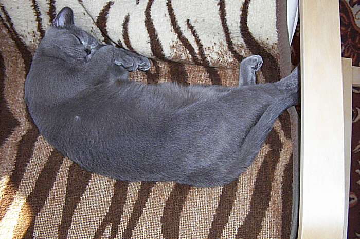 000_3520.JPG