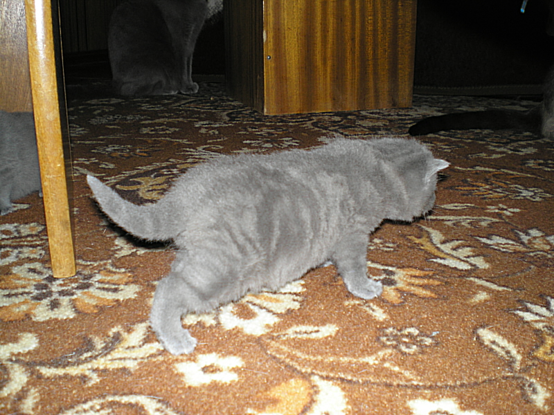 P3100008.JPG