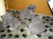 P9160007.JPG