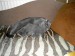 P9300016.JPG