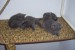 000_2157.JPG