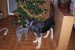 000_3167.JPG